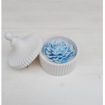 Соева свещ цвете Соева свещ цвете